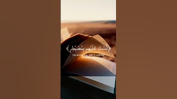 سورة الغاشية؛عبد الرحمان مسعد #إنسى الدنيا#راحة_نفسية غزة#فلسطين#سورة#قرآن#قران_كريم
