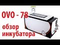 OVO-78 - обзор инкубатора \\ В деревню!