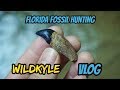 Florida Fossil Hunting WILDKYLE VLOG | Finding Shark Teeth and Other Fossils in the Creek!