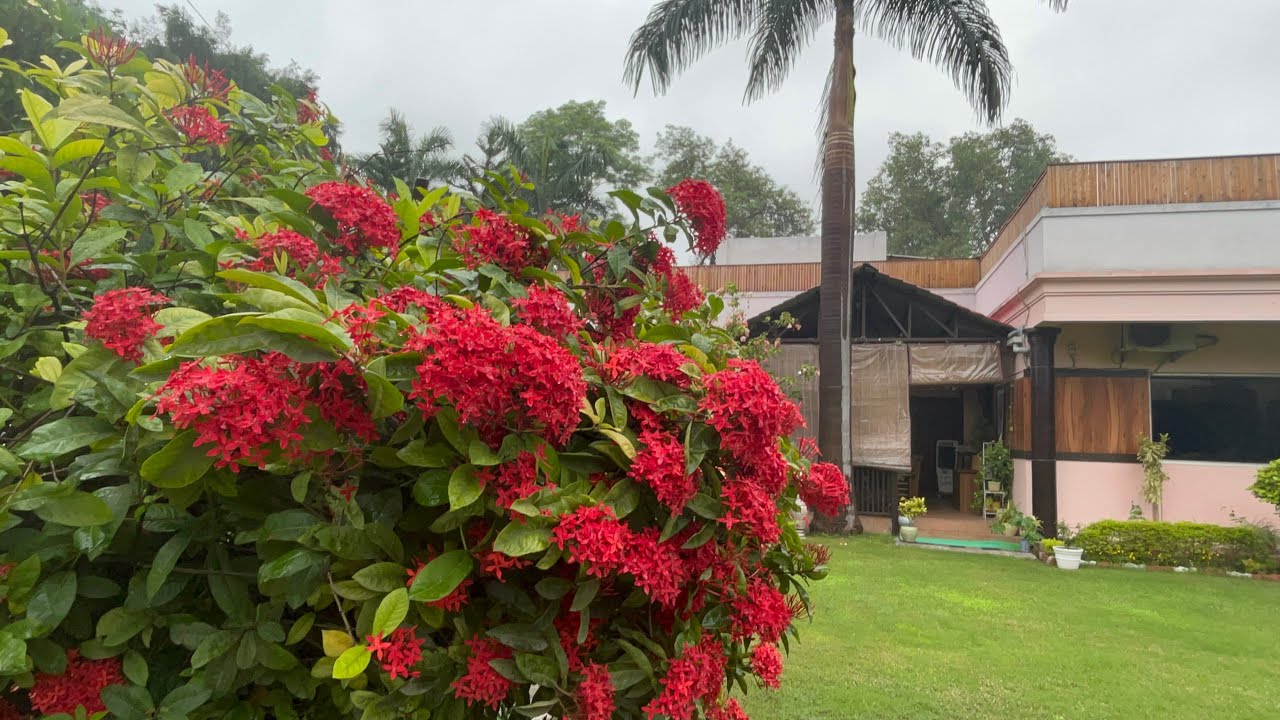 I.P.S Bungalow Tour || Indore || Madhya Pradesh