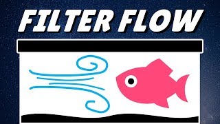 How to Reduce Aquarium Filter Flow for Fish & Axolotls