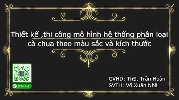 Mô hình hệ thống phân loại cà chua theo màu sắc và kích thước