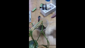 Hệ thống chiếu sáng và tưới cây tự động sử dụng Arduino Uno