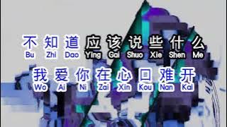 云南三怪  《 爱你在心口难开 》  ai ni zai xin kou nan kai
