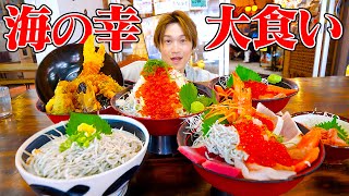 【大食い】沼津港で海鮮デカ盛り丼を堪能して…物足りなくハンバーガー爆食い⁈【ぞうさんパクパク】