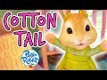 Peter Rabbit - Cotton-Tail and Squeaky Rabbit | Compilation