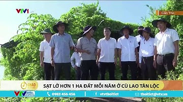 Cần Thơ: Sạt lở hơn 1ha đất mỗi năm ở cù lao Tân Lộc