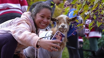 Welcome WPI Class of 2026