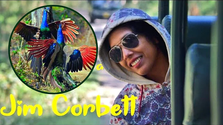 How to book a Safari in Jim Corbett | Details with...