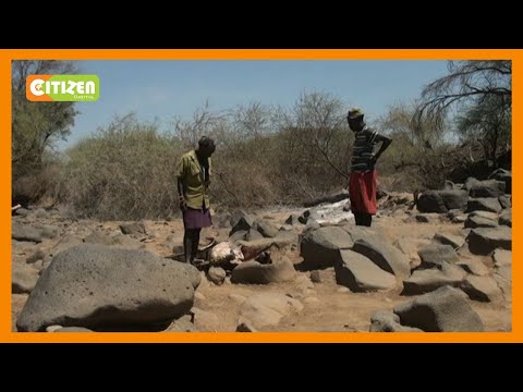Video: Chakula cha Kujaribu katika Eneo la Kaskazini