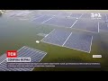 Новини світу: у Сингапурі показали найбільшу у світі сонячну ферму на воді