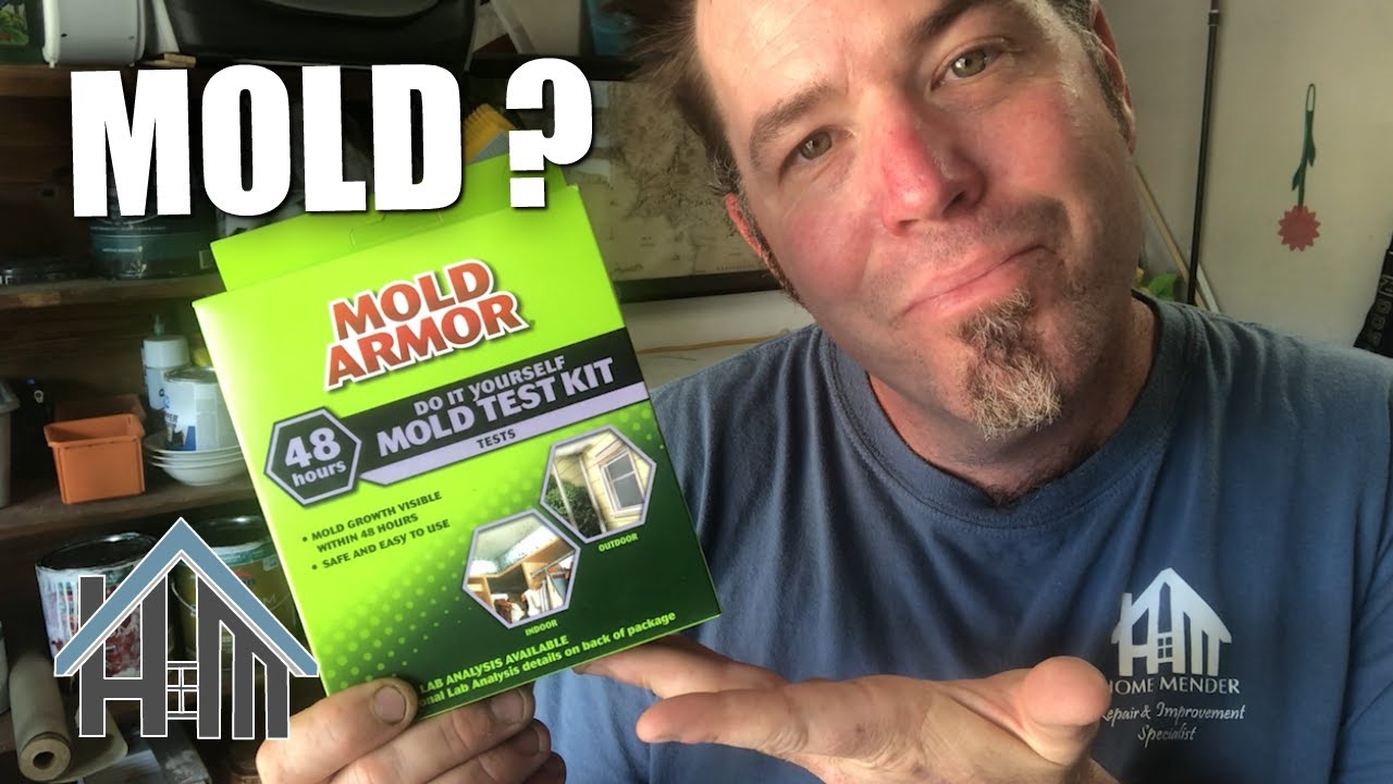 How-to mold test, test for mold from mold armor. The right way? Home  Mender! 