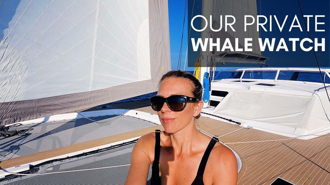 A Whale of a Good Time – A Whale Watch & History at Nantucket Whaling Museum | Harbors Unknown Ep 39