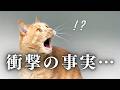この世界にはお母さんとお父さんが必要だ！ #由宇霧