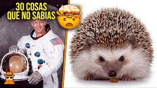 30 Cosas Que No Sabias Hace 5 Minutos #82