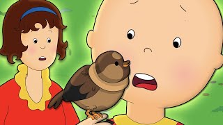 Caillou and the Bird ★ Funny Animated Caillou | Cartoons for kids | Caillou