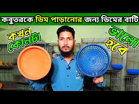 কবুতরের ডিমের হাড়ি কোনটা ভালো ?