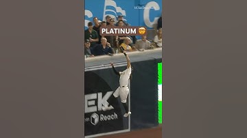 Ladies and gentlemen, Fernando Tatis Jr. 🤯 #mlb #baseball #sportshighlights #catch #fernandotatisjr