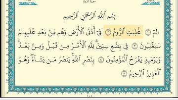 ابراهيم الاخضر سورة الروم كاملة مكتوبة HD