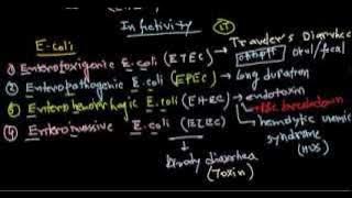 Escherichia coli infection