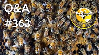 Backyard Beekeeping Q&A 363 July 17th