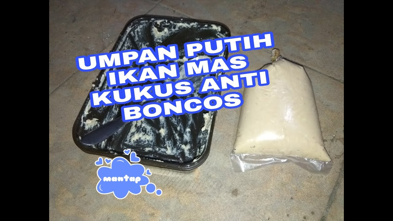 Umpan Tembleg Ikan Mas Yang Lagi Viral Dijamin Joss Youtube