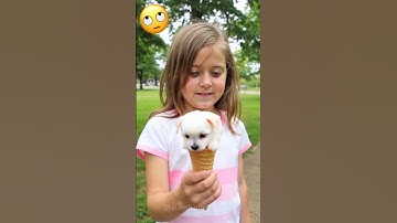 oh my God 😳 ice cream 🍨pappy🐶😳😅 kaise ban gyi 😳#funny #shorts #smnsunita #viralvideo #youtubeshorts