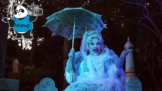 Madame Carlotta Materializes at The Haunted Mansion - Mickeys Not So Scary Halloween Party!