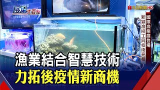 臺灣國際漁業展登場!業者跨領域導入智慧技術 創新轉型接軌全球商機｜非凡財經新聞｜20201203