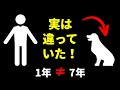 犬の1年は人間の7年じゃない！？実は間違っている14の犬にまつわる神話