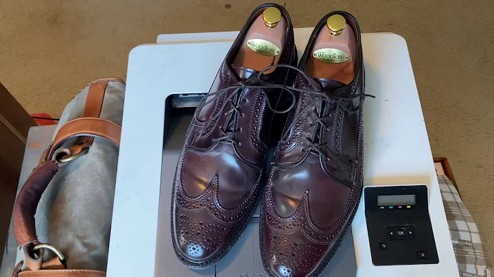 GYW Shoe review: Allen Edmonds Shell Macneils