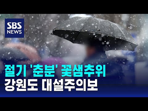 [날씨] 절기 &#39;춘분&#39; 꽃샘추위…강원도 대설주의보 / SBS