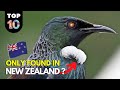 10 Animals ONLY Found in New Zealand 🇳🇿
