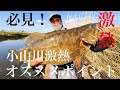【バス釣りポイント】小山川！激熱オススメポイント三選！観なきゃ損【バス釣り】
