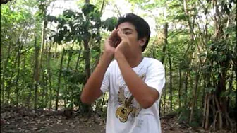 Dont Touch My Birdie Dont Touch My Birdie
