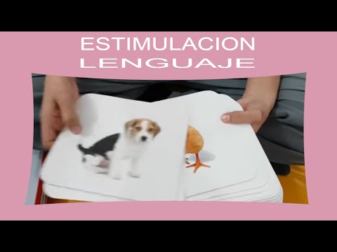 💬 Como ayudar