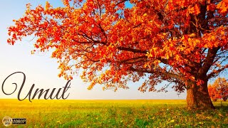 Umut Enstrümantal Ney Duygusal Fon