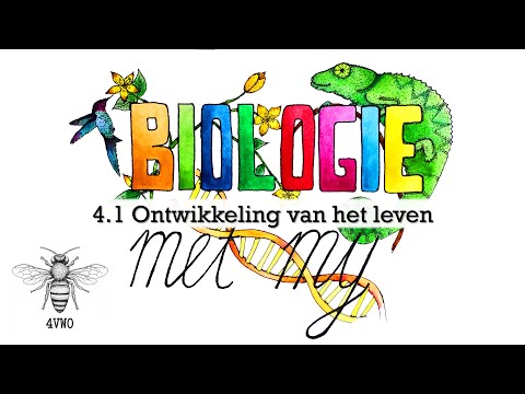 Video: Wanneer het buideldiere tydperk ontwikkel?