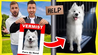 PACO DE HOND IS VERMIST! *De Zoektocht*