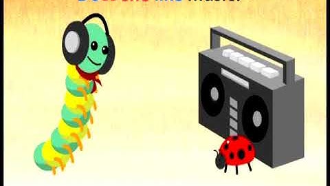 CEFR English Plus 1 | Year 5 | Grammar Animation 2 |  Present simple: questions