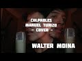 Culpables / Manuel Turizo / Cover / Walter Møina