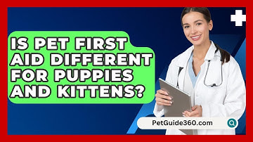 Is Pet First Aid Different For Puppies And Kittens? - PetGuide360.com