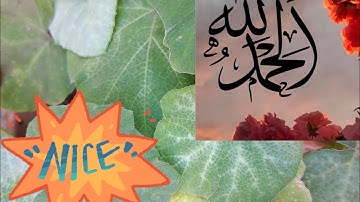 سورة انجم الراحة النفسية وألإترخاء تلاوة هادئة