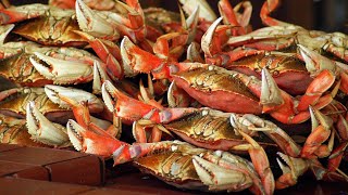 Top 5 Crabbing Locations on the Oregon Coast