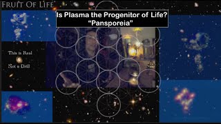 Is Plasma the progenitor of Life?