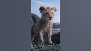 આપણી પીઠ પાછળ ઘા કરનારા આપણા જ હોય છે વાલા.......