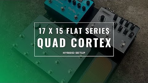 17 x 15 |  Neural Dsp Quad Cortex hybrid setup | Client Overview