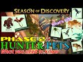 Hunter pets   phase 2  season of discovery  what you need to know  wow classic