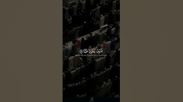القارئ الشيخ وديع اليمني | ما تيسر من سورة مريم