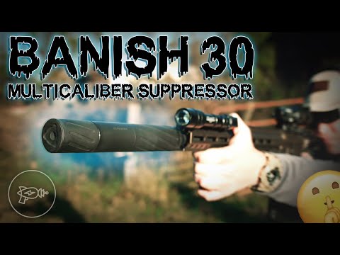 A One-Size-Fits-All Suppressor Solution? 🤔 Silencer Central Banish 30! [Review]